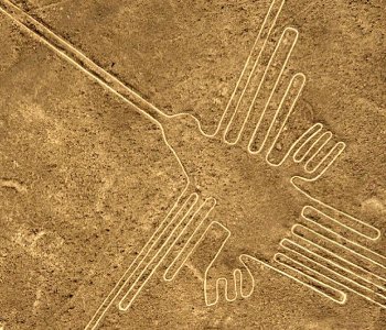 Imagen nazca