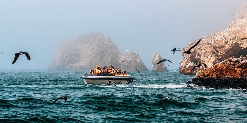 paracas ballesta