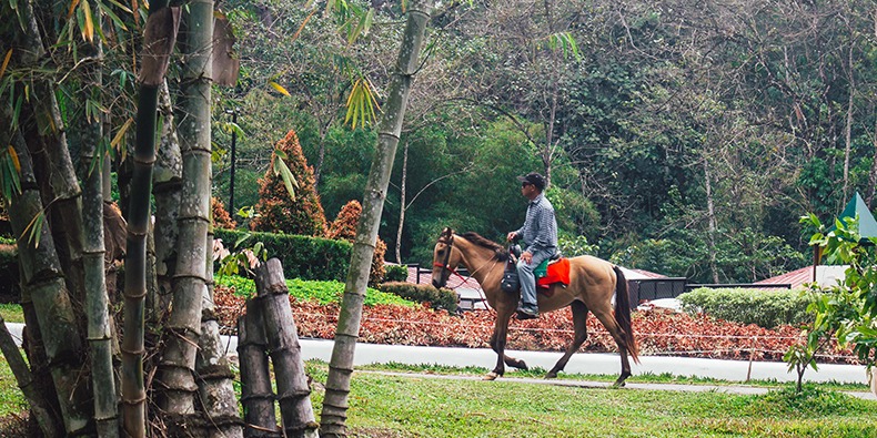 horseback riding