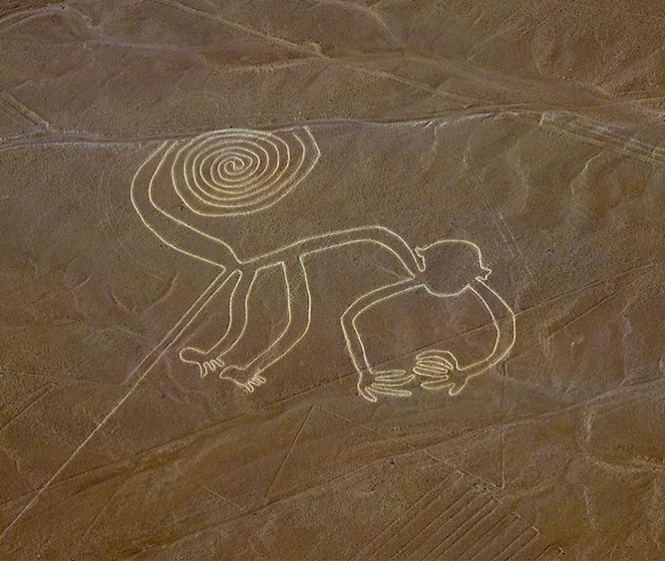 como ir de lima para nazca - linha de nazca macaco